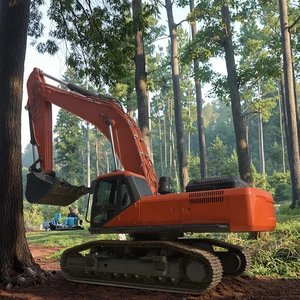 50 Ton Doosan Excavator Big Large Hydraulic Crawler Excavator Made in China Price for Sale