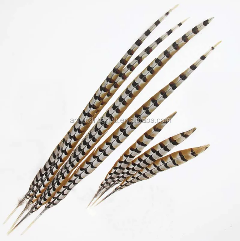 wholesale artificial reeves pheasant tail feather