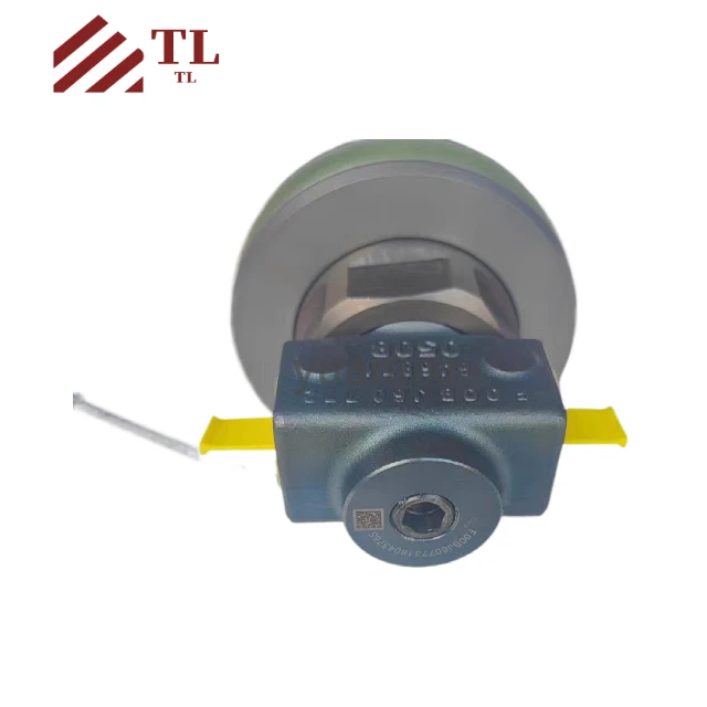 Fuel Injector 4964171 4964172 4955524 for K19 KTA19 QSK19 Engine High-Quality Excavator Spare Part