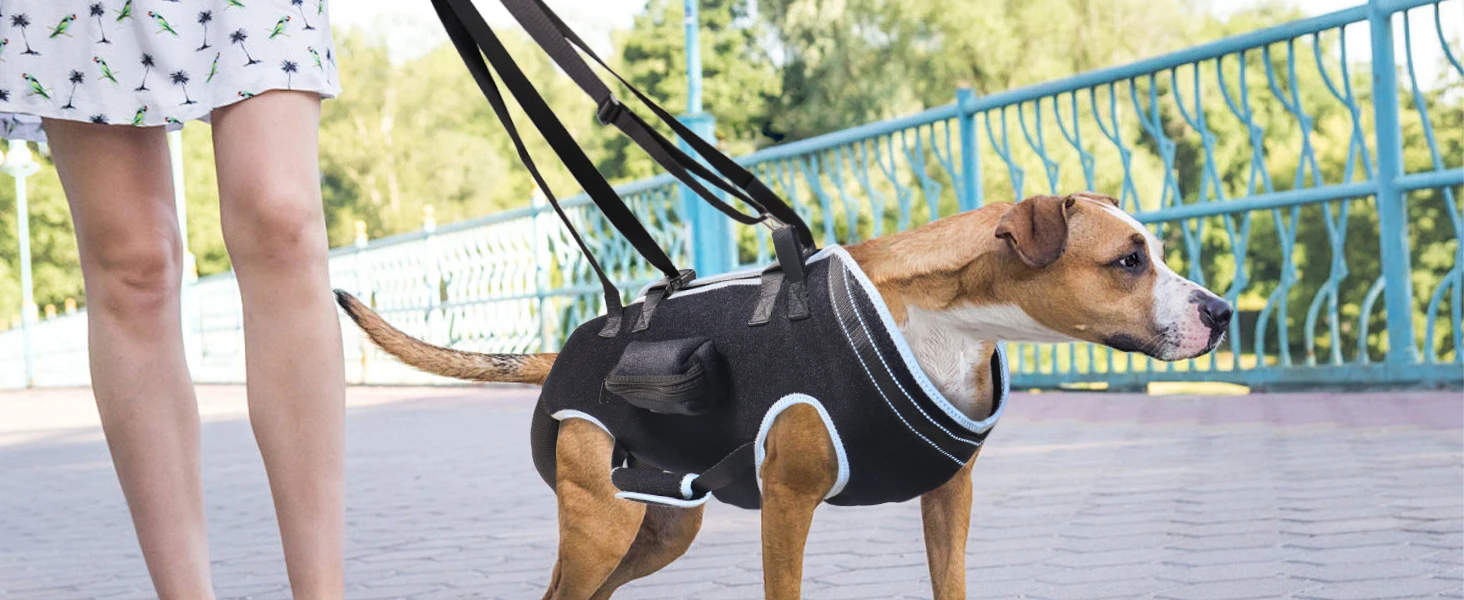 Dog Lift Harness Full Body Dog Lift Harness For Hip dysplasia, Arthritis, Dog Full Body Harness