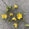 Giallo