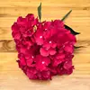 Rose Red