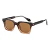 Gradient Brown 66504