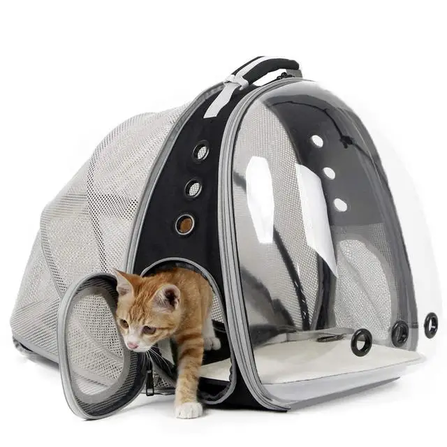Mochila Transportadora Para Gatos, Perros, Mascotas | AskImport