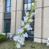 Campanula Azzurro Chiaro