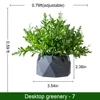Mini planta de hierbas gris pizarra de 0,59 pies con maceta de piedra geométrica