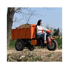 800w / 48v Electric Tricycle New Delivery Van High-quality Electric Tricycle