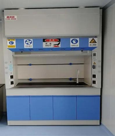 304 Stainless Steel Lab Fume Hood with All Steel Construction and Customizable Size for Chemical Institutes