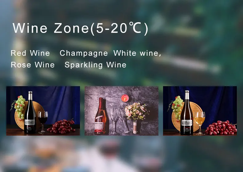 Home Bar High End Wine Cooler Electronic Wine Cellar Cooler Wine