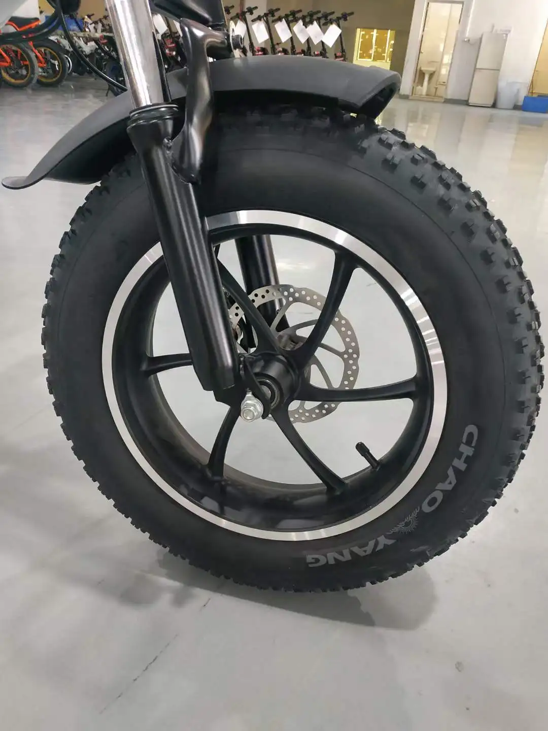 V8 Electric Bike Offroad Fat Tire Bicycle Sand Beach Ebike All