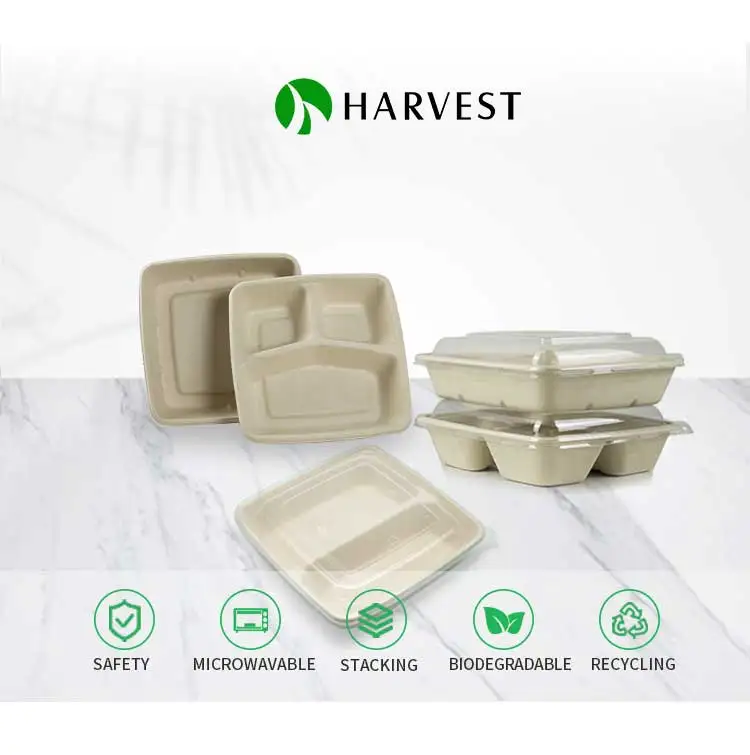 Bamboo Food Containers Are Biodegradable 93665 