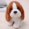 Basset Hound