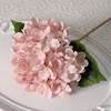 rosa1