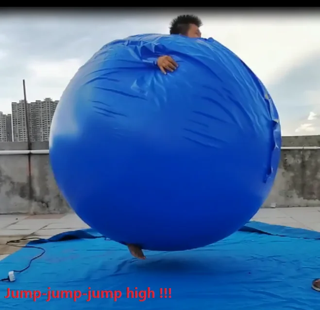 Customize High Quality Pvc Inflatable Blueberry Suit For