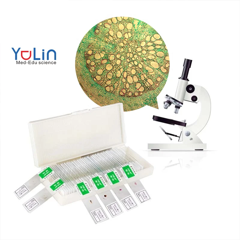 48 Lames De Microscope Préparées Pour Enfants – Plantes, Animaux, Légumes, Fruits – 4 Boîtes Classées