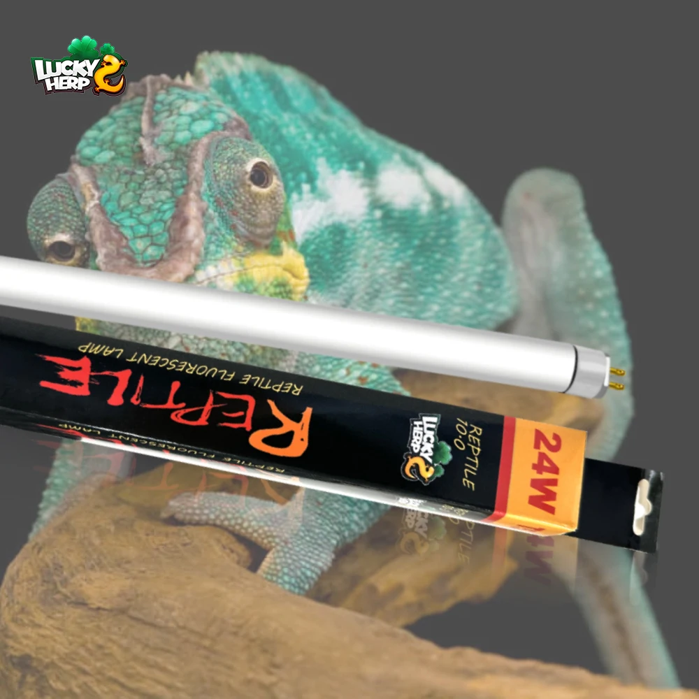 Lucky Herp Desert 10.0 26W Compact Fluorescent Reptile Lamp – UVA/UVB Bulb For Desert Habitats