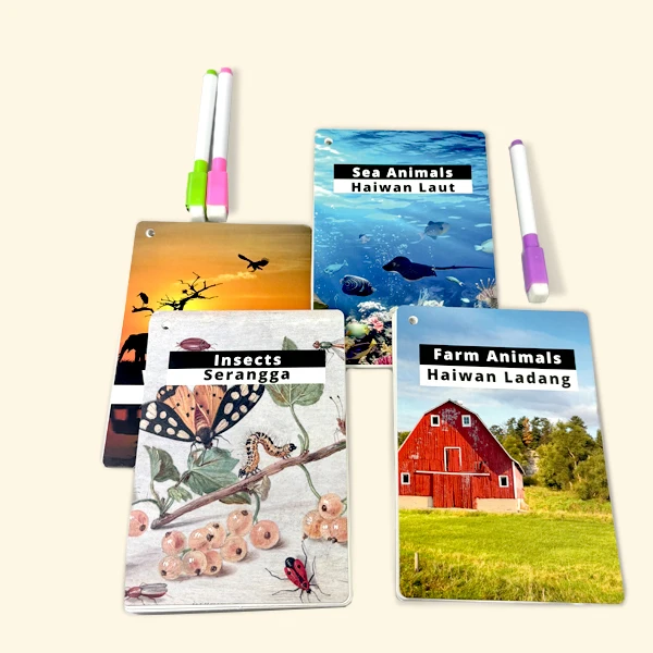High Quality Custom Making English Animal and Plant Pattern Flash Card Wholesale Custom Print Logo Kids Educational Flashcards