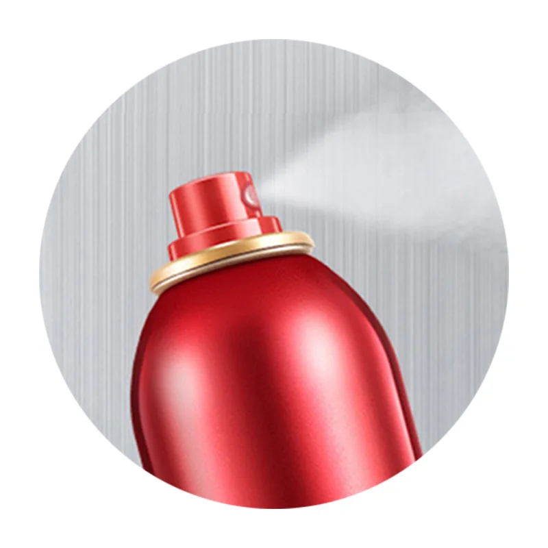Wholesale Hairspray Private Label Factory Fast Drying Strong Holding