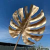 Monstera dorata