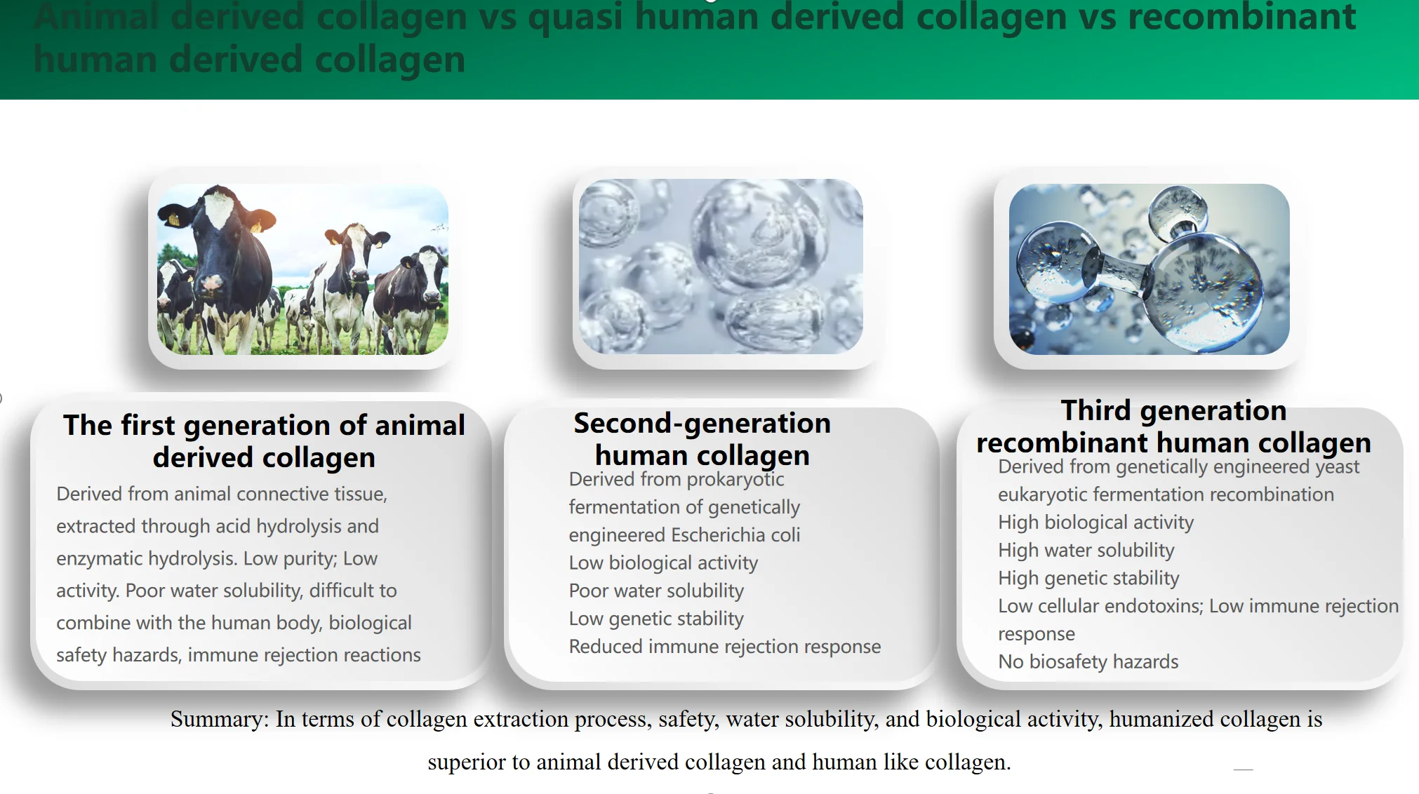 Wholesale Customized Humanized Type Iii Collagen Repair Patch Dressings