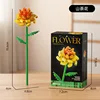 M5024-camélia