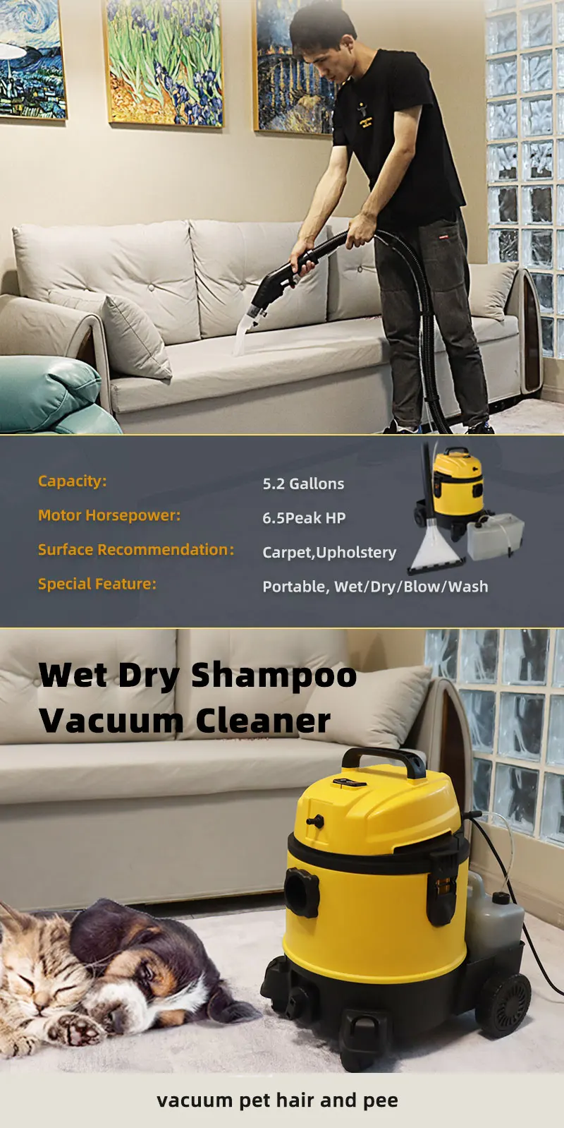 Eako 2022 High Inquiries Washing Carpet And Car Seat Shampoo Vacuum