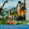 Pro Dilophosaurus-6m(19.68ft)-   6 Movements