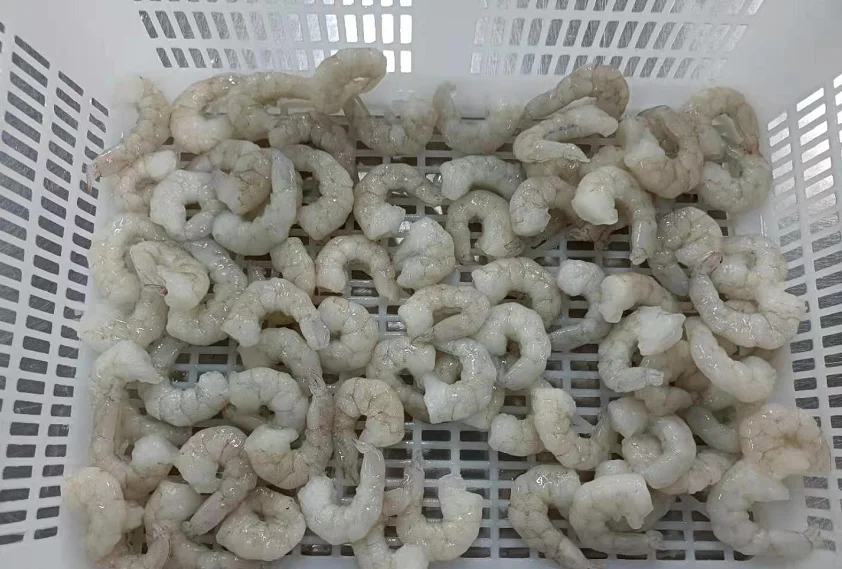 white shrimp