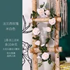 White, 1.8 meters long, 10 flowers