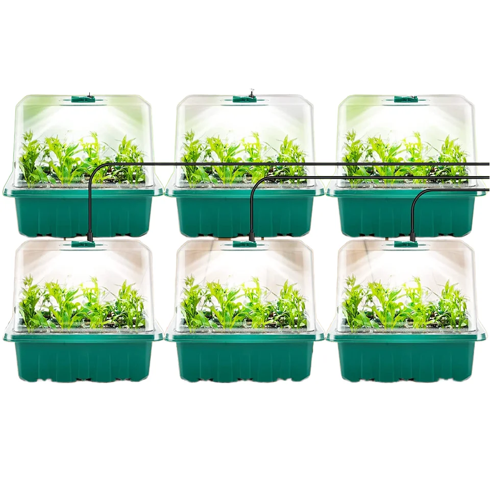 Recyclable PVC PET PS Clamshell Blister Packs for Seeds & Plant Plugs Moisture-Control & Ventilated Tray Design
