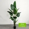 180 cm - 13 foglie