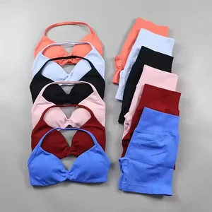 Women's 2-Piece Sports Wear Set Pleated Seamless Fitness Shorts with Adjustable Straps Breathable & Waterproof Sports Bra