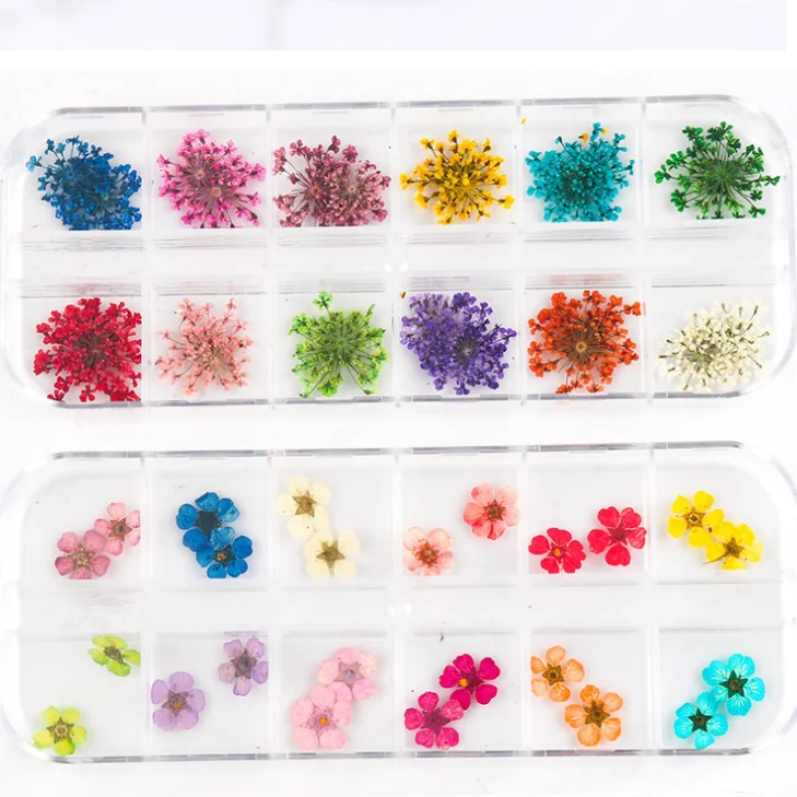 Bin 12 Grids Natural Floral Dried Flower Nail Art Stickers Dry Flowers