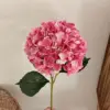 Rosso anguria