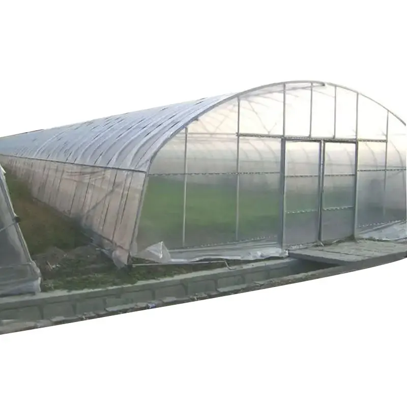 Agricultural Greenhouse Polyhouse Metal Frame Poly Tunnel Plastic Polytunnel