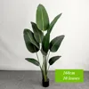 160 cm - 10 foglie