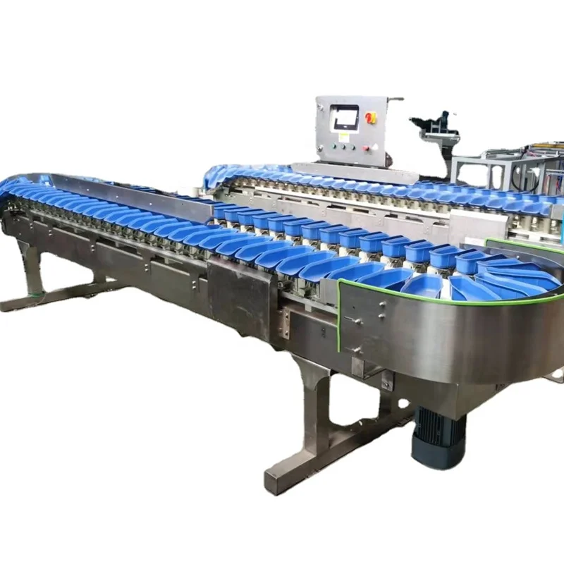 Frozen Fish Sorting Tuna Grading Machine Salmon Sorting Machine Price Tilapia Weight Sorter Machine