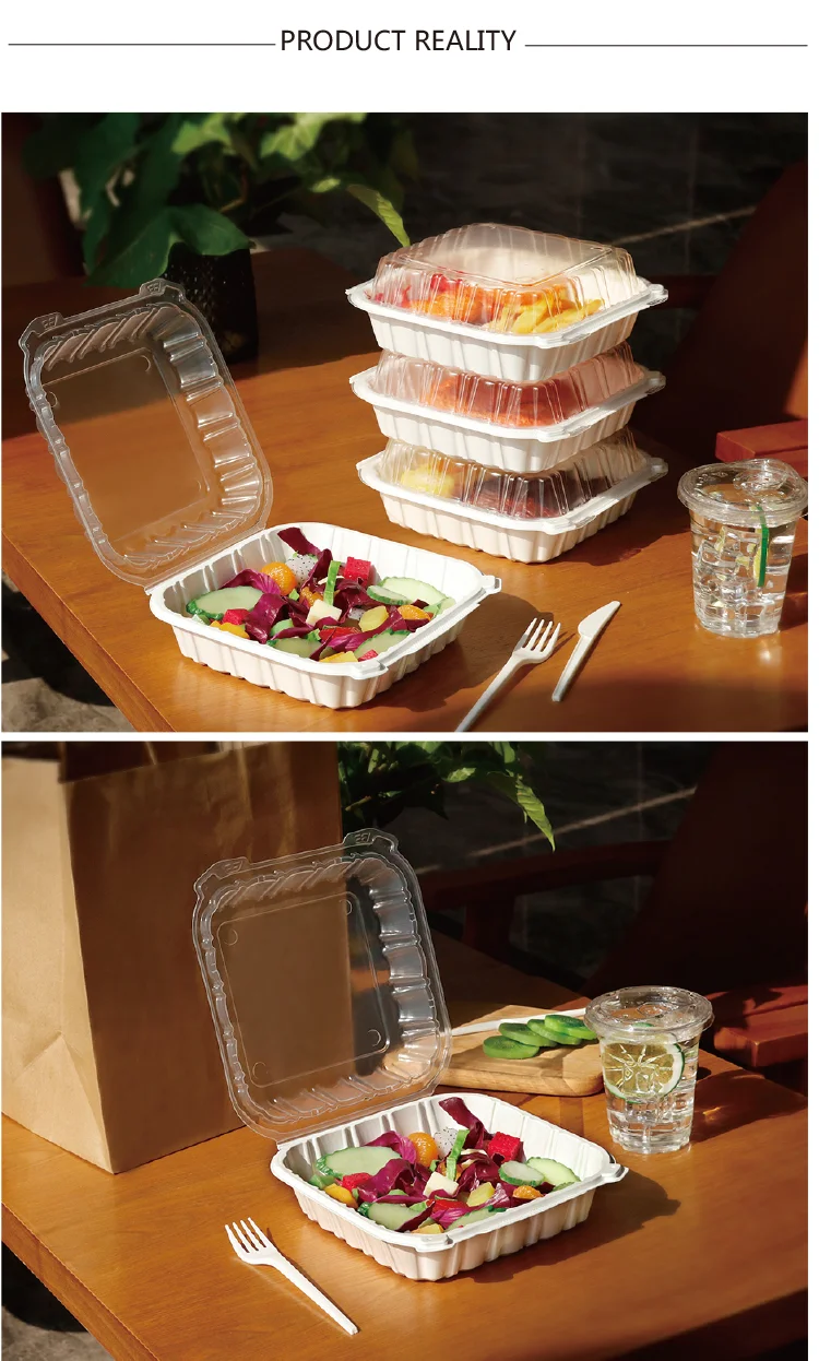 8 Inch Takeout Plastic Food Container Hinged Lid Clam Shell Box Dual