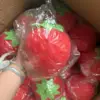 15CM OPP packaging