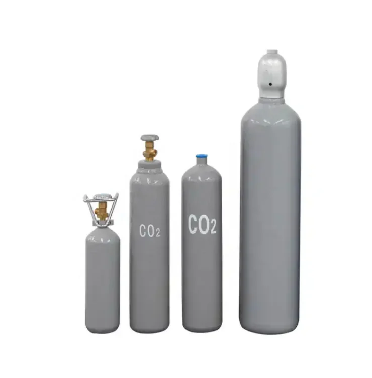 Carbon Dioxide Gas Cylinder High Pressure Co2 Tank DOT/ISO 20L 40L 50LHigh Pressure Steel Cylinder