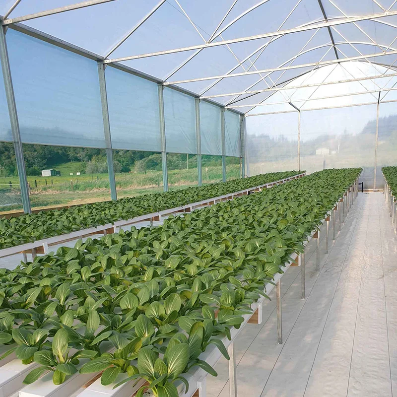 hydroponic net cups
