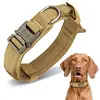 Dark Brown-Collar
