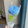 #17 crochet rose