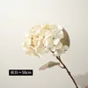 Qiu blanco