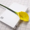 Amarillo