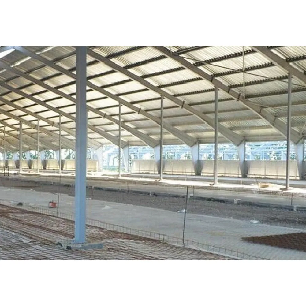 Modern Cow Shed Design Light Steel Structure Dairy Cattle Farm Building