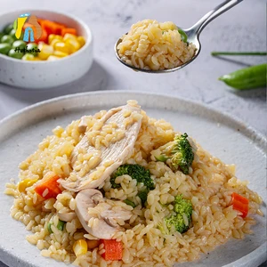 Hethstia Healthy Low Carb Instant Sugar-free Oat Taste Konjac Wet Rice