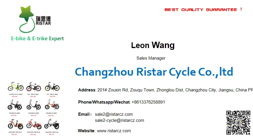 NameCard-Leon-Ristar Cycle.png