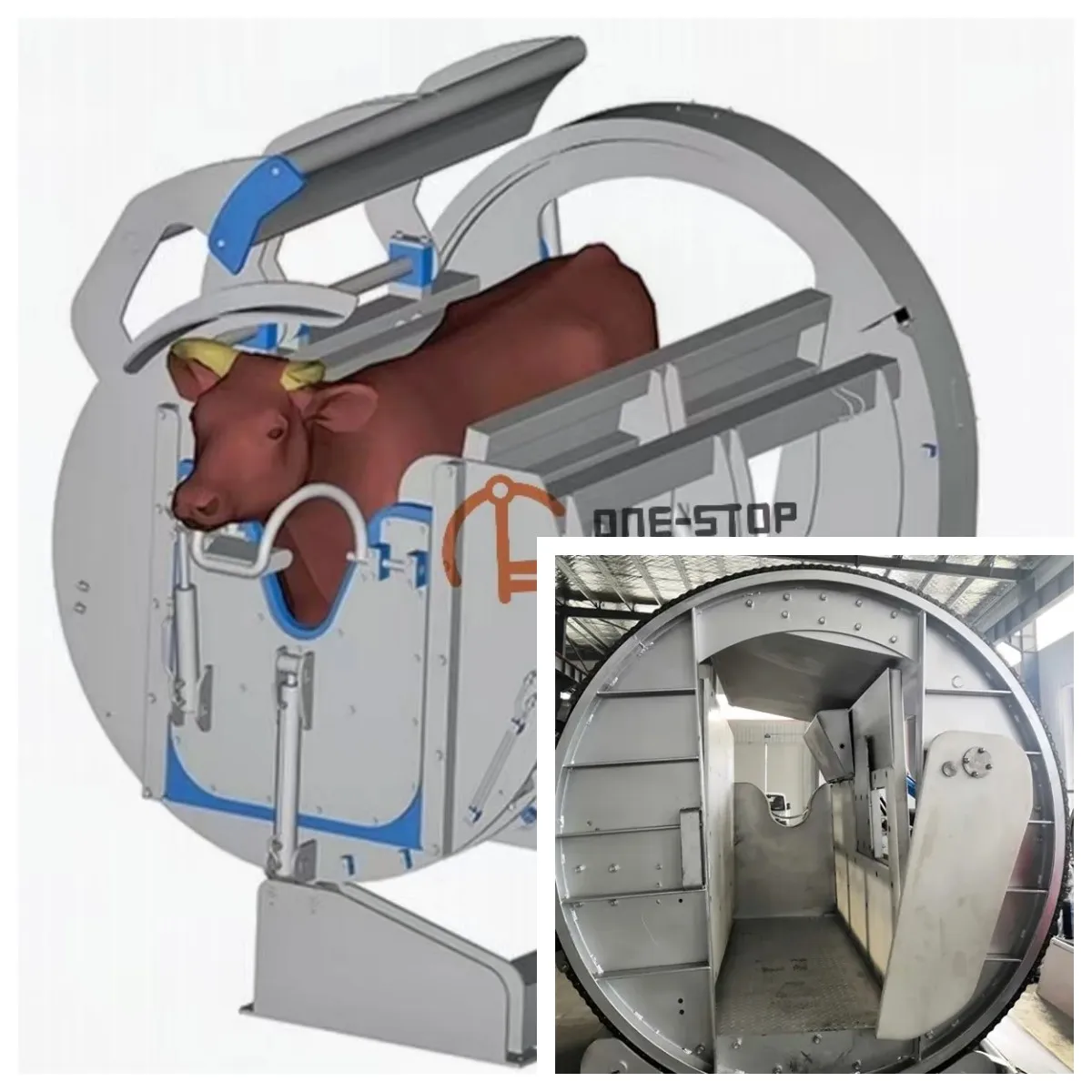 Cow slaughterhouse with meat processing and boning machines