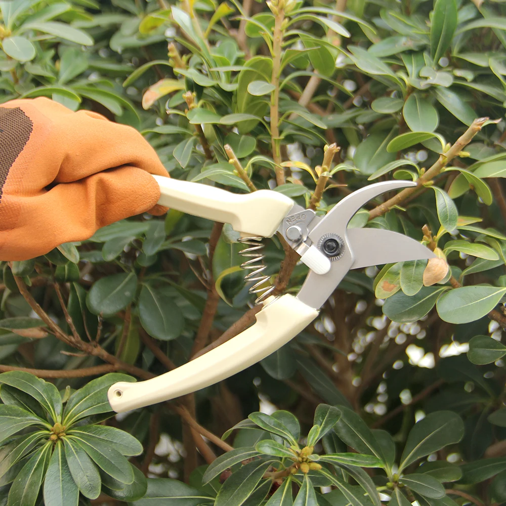Small Fruit Tree Pruning Shears Potted Plant Garden Repair Scissors